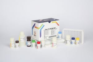 Free T3/ pishtaz teb/ پیشتاز طب / کیت تشخیص طبی 